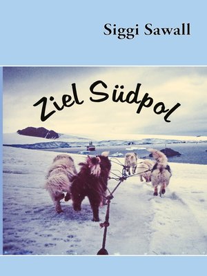 cover image of Ziel Südpol
